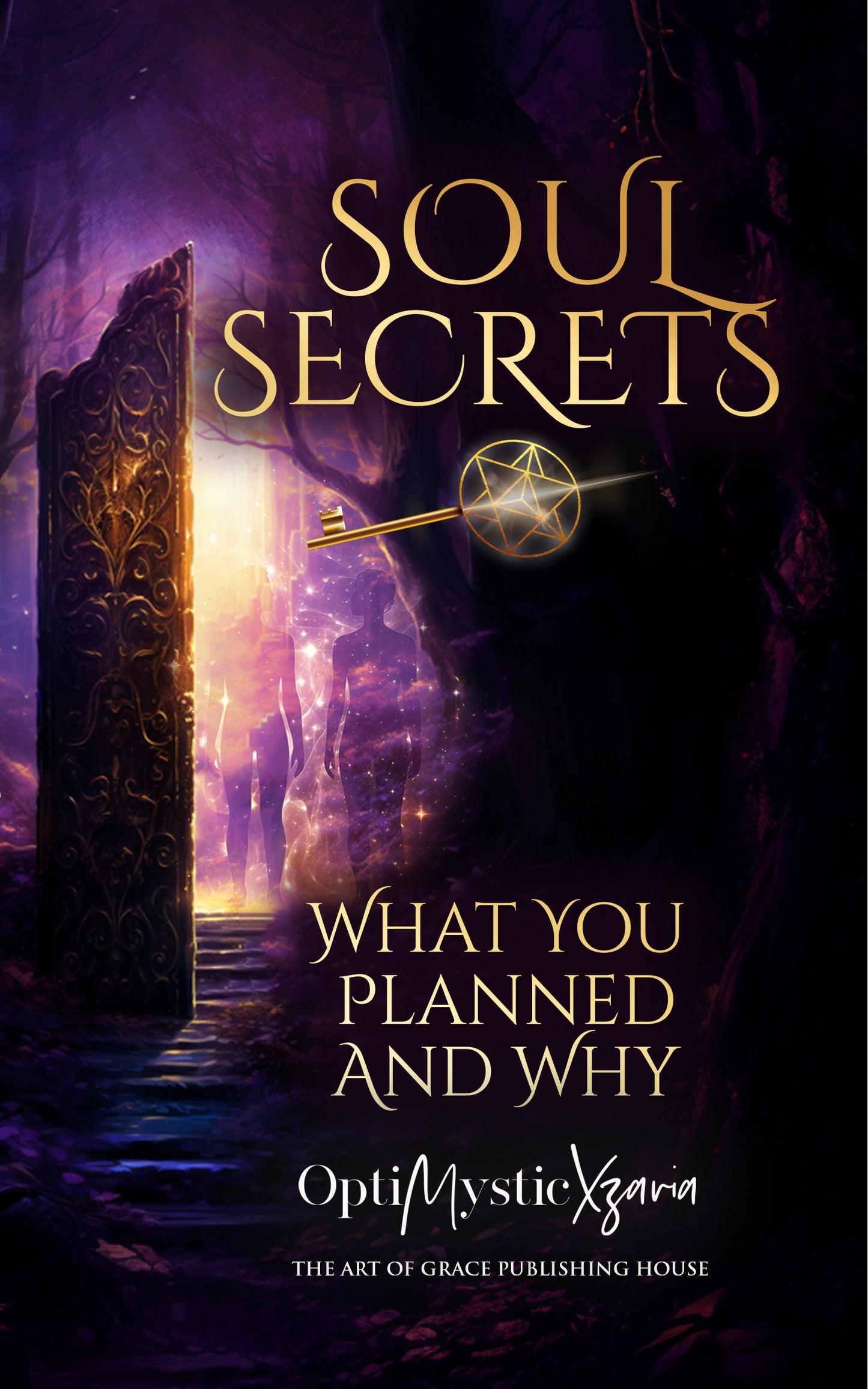 Soul Secrets, What you planned and why